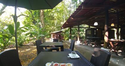 Selva Color Forest & Beach Ecolodge