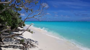 Una spiaggia nelle vicinanze