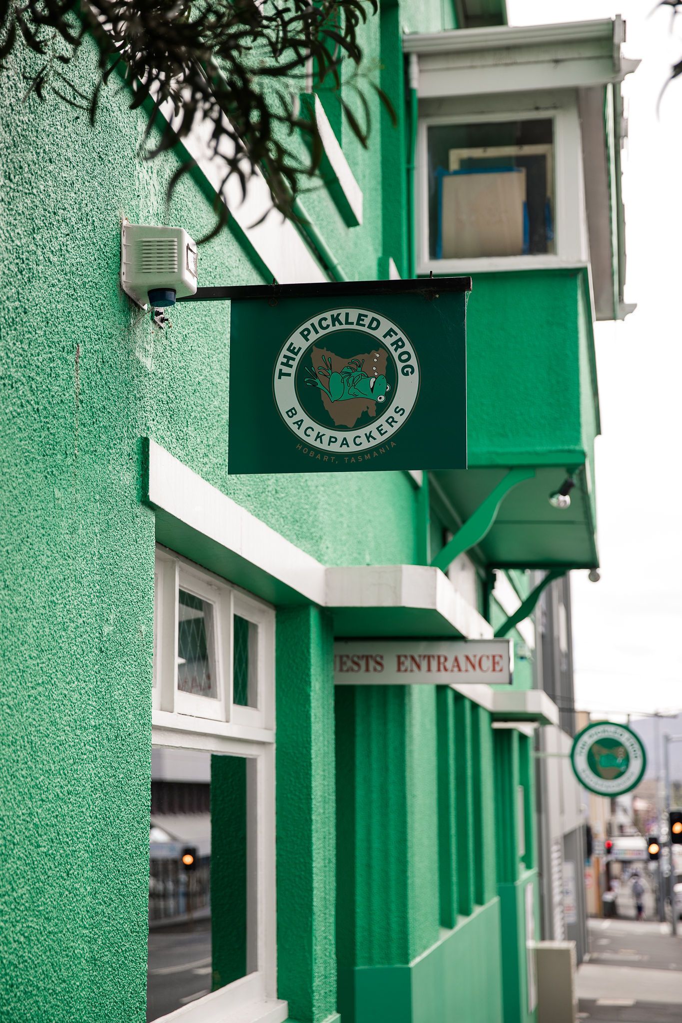 the pickled frog hostel