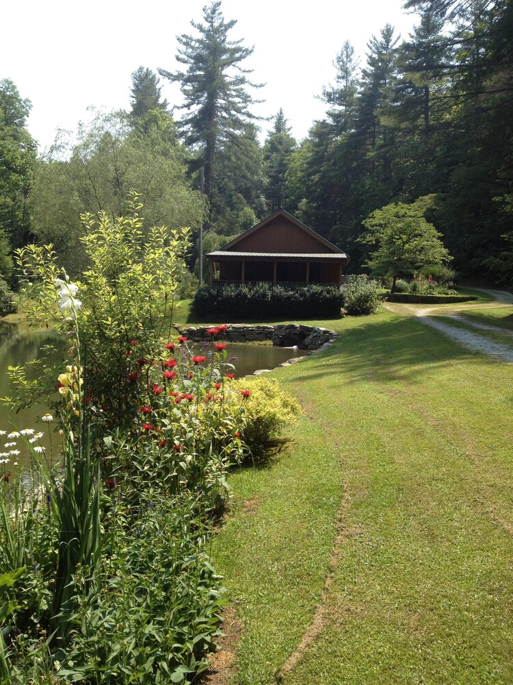 Luxury cabin overlooking large trout pond at former summer camp .. Come and play