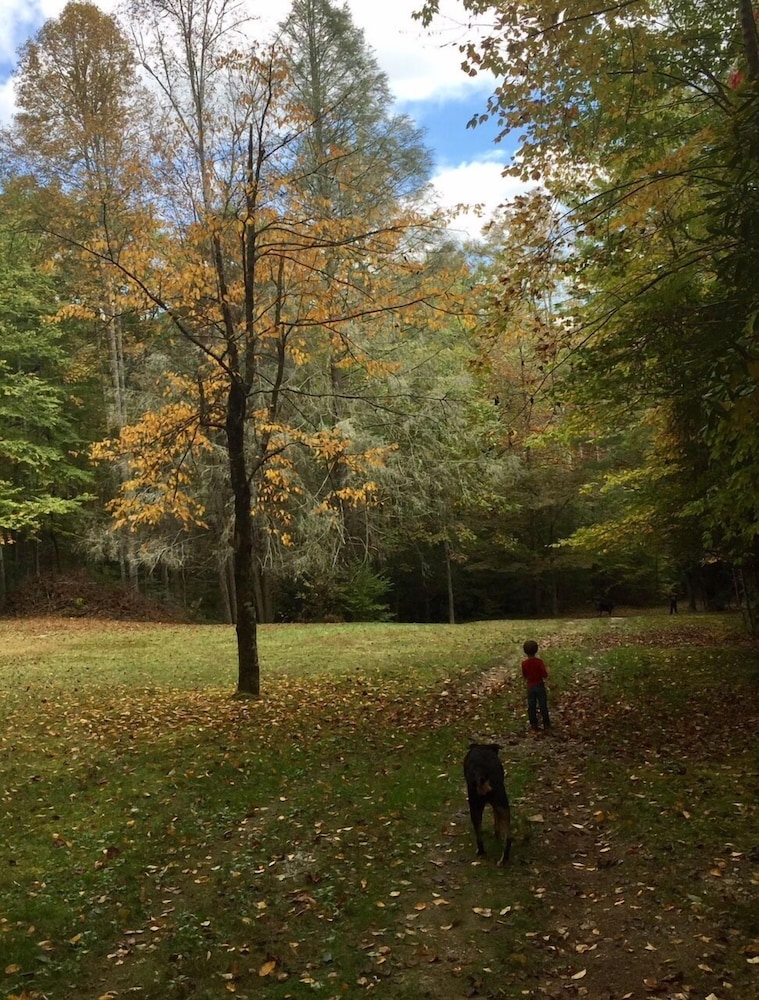 Luxury cabin overlooking large trout pond at former summer camp .. Come and play