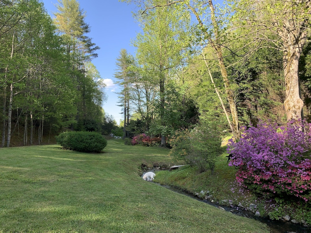 Luxury cabin overlooking large trout pond at former summer camp .. Come and play