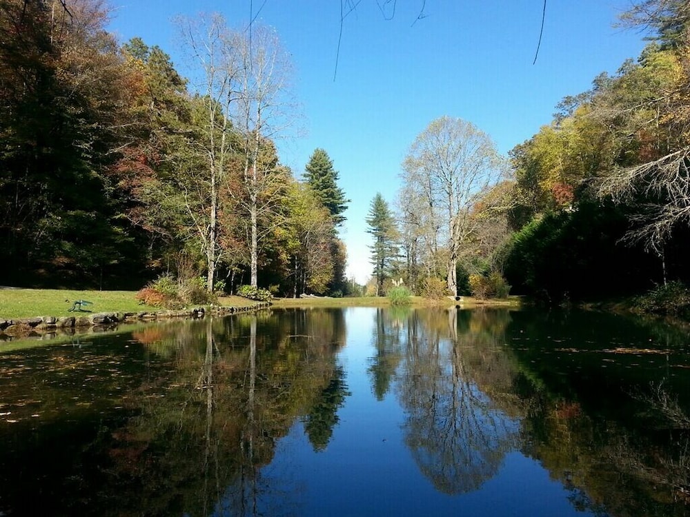 Luxury cabin overlooking large trout pond at former summer camp .. Come and play