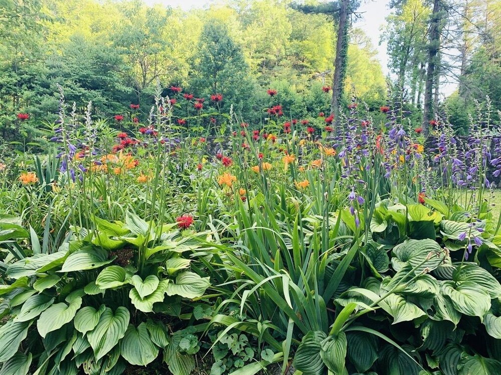 Luxury cabin overlooking large trout pond at former summer camp .. Come and play