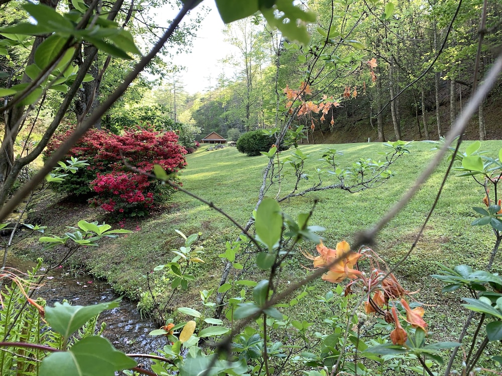 Luxury cabin overlooking large trout pond at former summer camp .. Come and play
