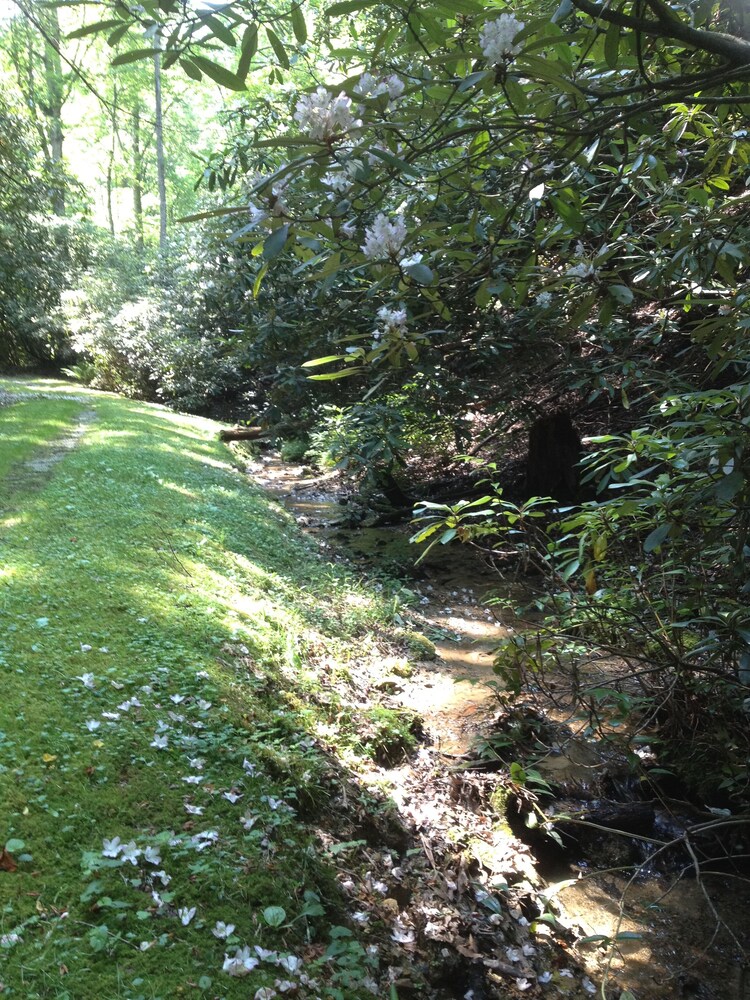 Luxury cabin overlooking large trout pond at former summer camp .. Come and play