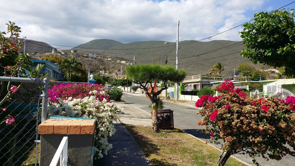 Cozy, Newly Renovated House In Harbour View Kingston Vrbo