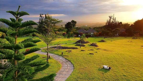 รูปเด่น