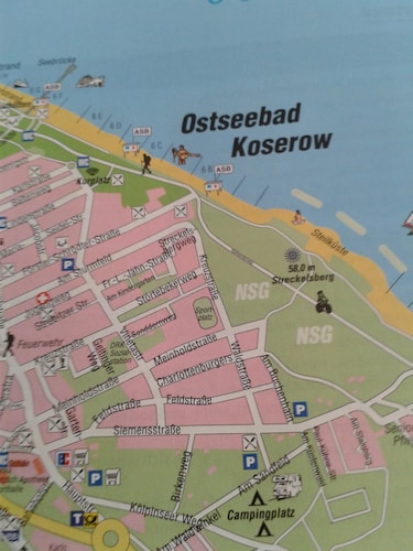 They Love the Forest and the Sea? Both at Your Feet in Koserow, Germany