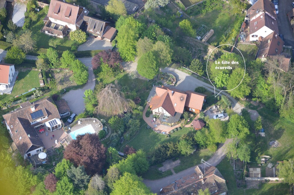 Independent Lodging In A Huge Private Park In Ribeauville In