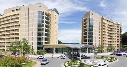 High Castle Resort