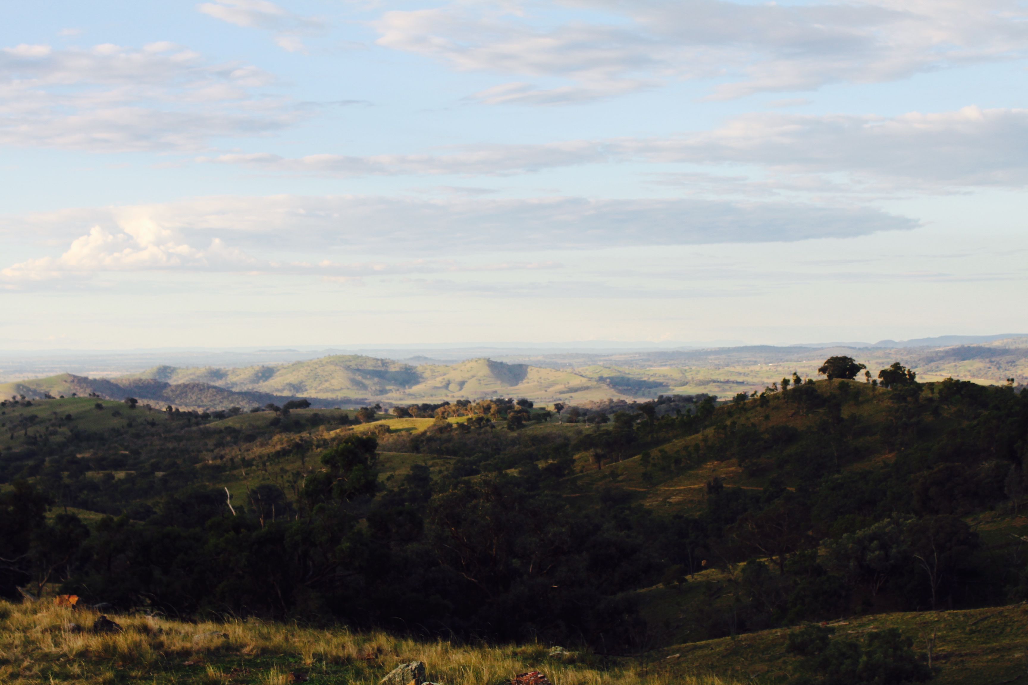 Canguri Boutique Farmstay Cottage