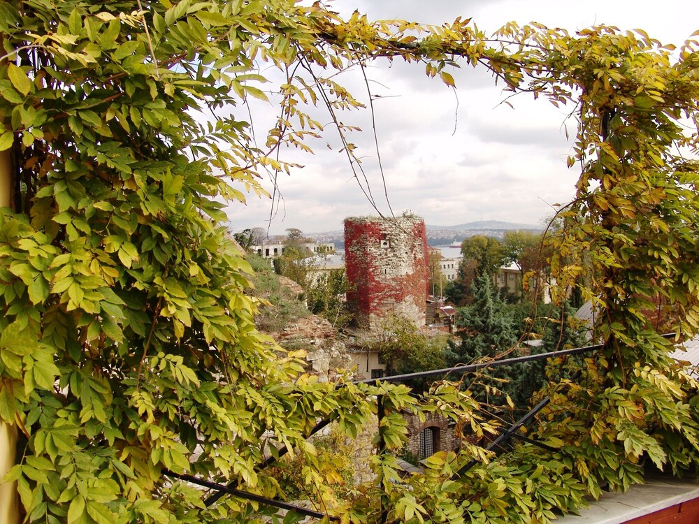 Foto - Hotel Empress Zoe