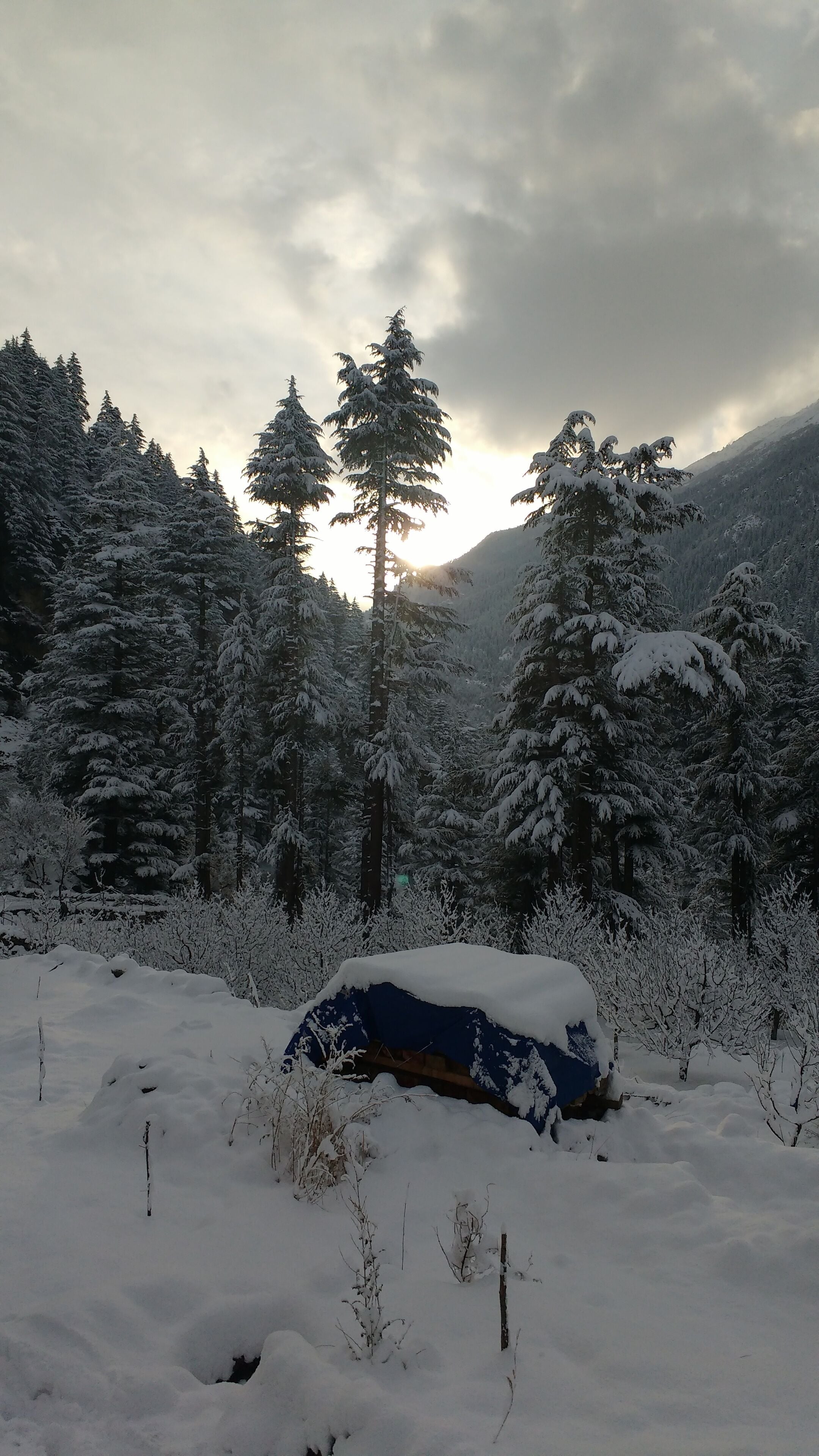 Home Away From Home. Be a Part of our Kinnauri Culture in Sangla in Sangla, India