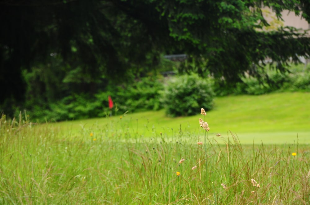 Shoreline Leisure Holiday Inn