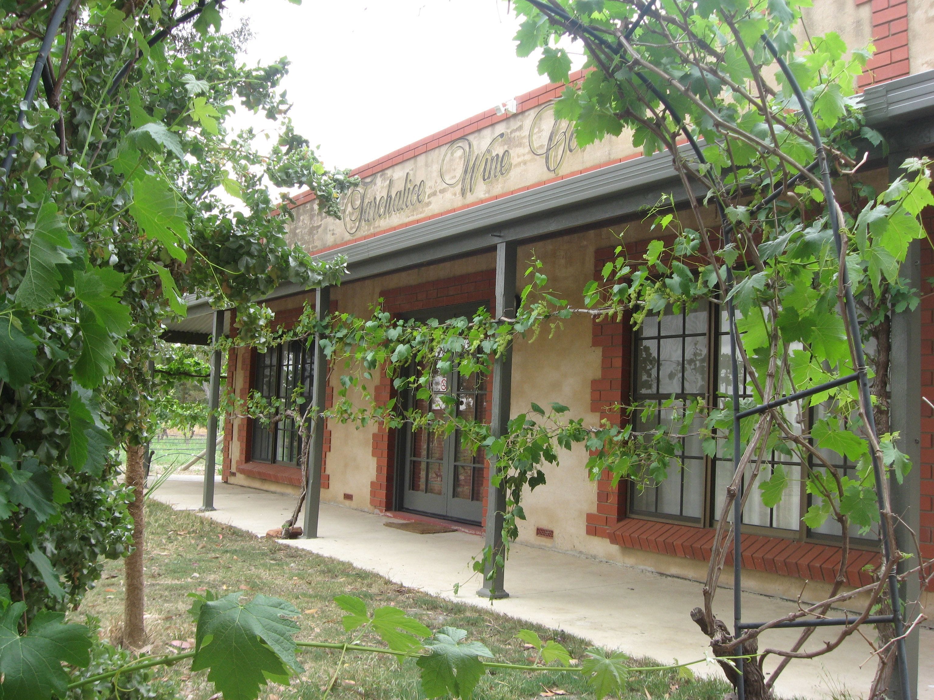 Under the Vines in Tanunda, Australia