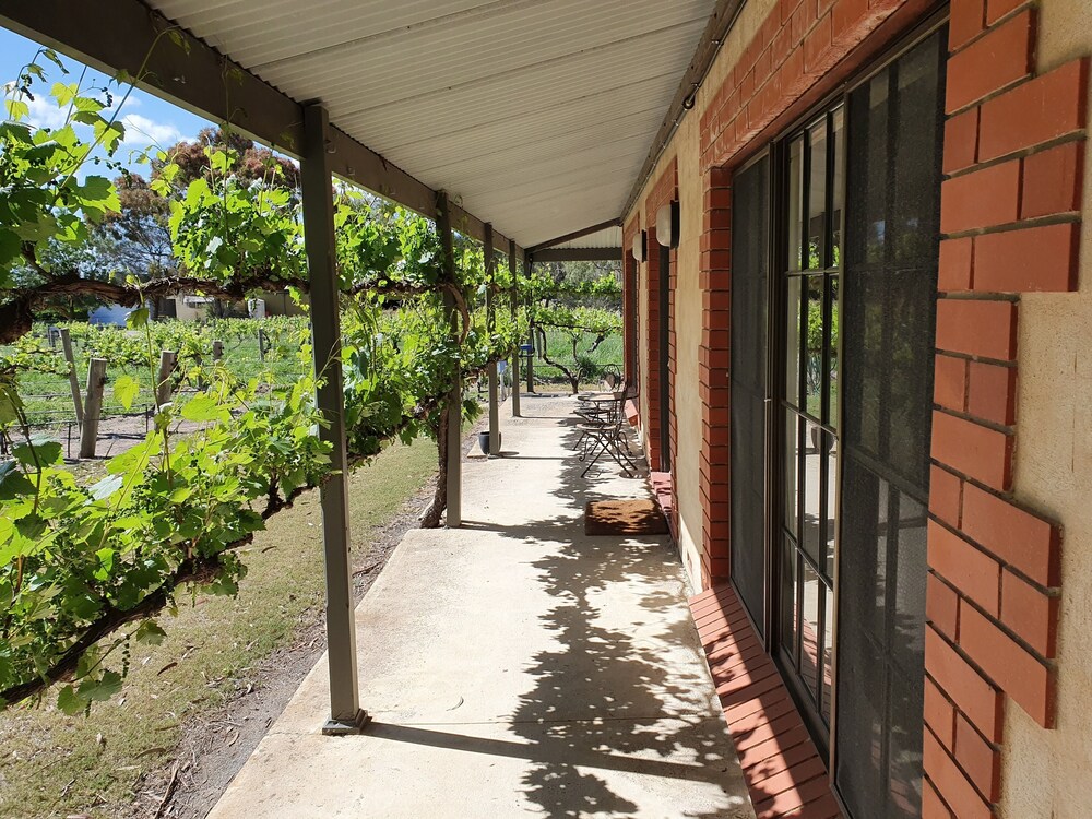 Under the Vines