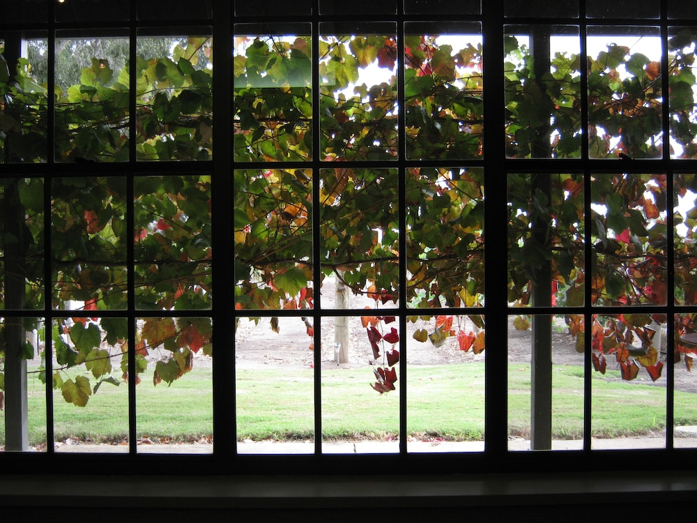 Under the Vines
