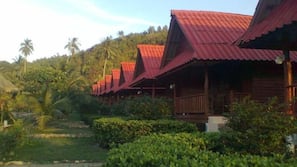 View from hotel