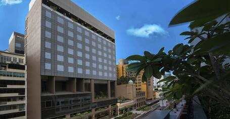 オーキッド ホテル Sg Clean 口コミ 部屋写真 料金 お得情報 エクスペディア オーキッド ホテル Sg Clean 口コミ 部屋写真 料金 お得情報 エクスペディア