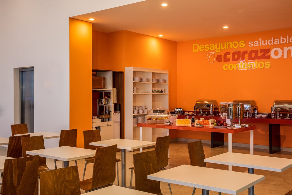 One Chihuahua Fashion Mall