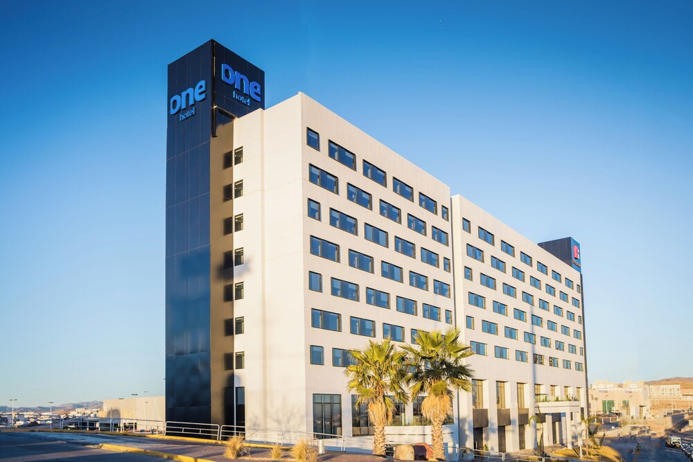 One Chihuahua Fashion Mall