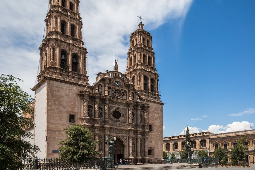 One Chihuahua Fashion Mall