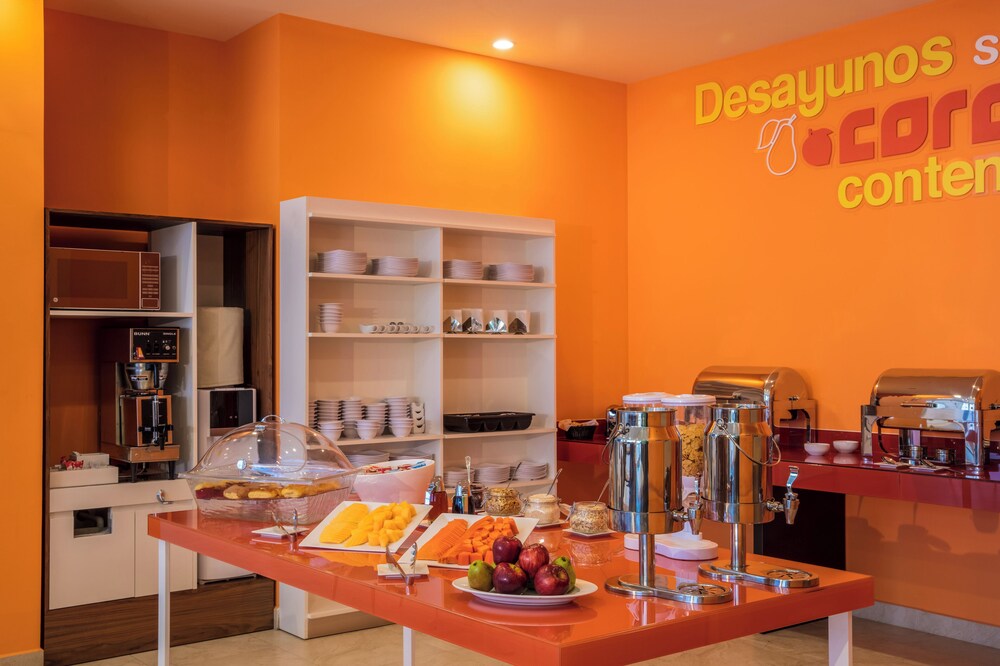 One Chihuahua Fashion Mall