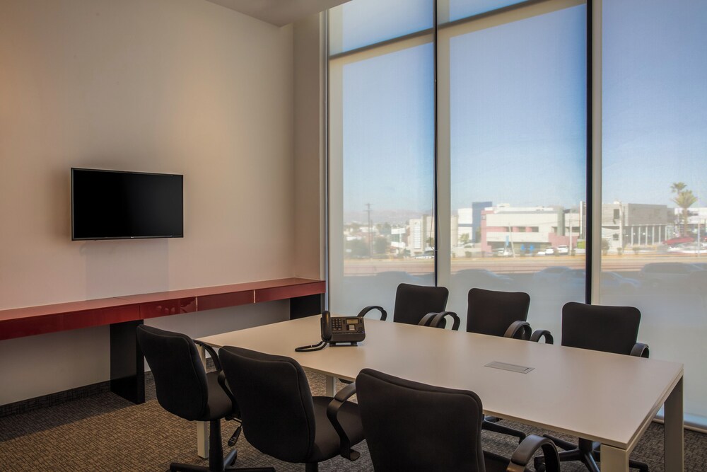 One Chihuahua Fashion Mall