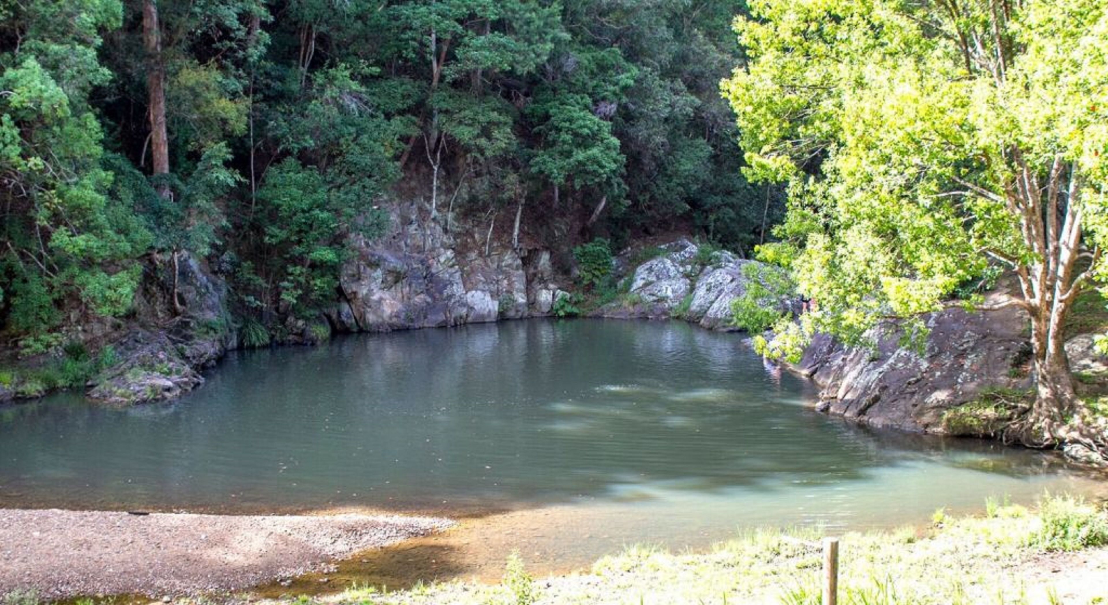 The Luxury Eco Rainforest Retreat