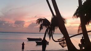 On the beach, beach bar, kayaking