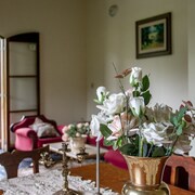 Top Hotels in Rio Doce from $32 - Expedia