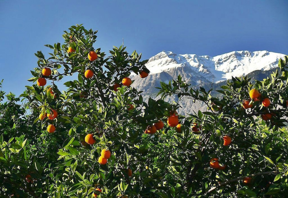Photo - Tuncer Garden Hotel