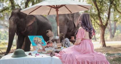 Sappraiwan Elephant Resort & Sanctuary