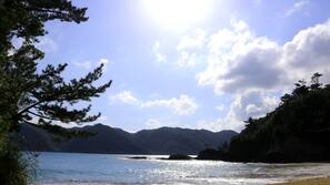 Plage à proximité