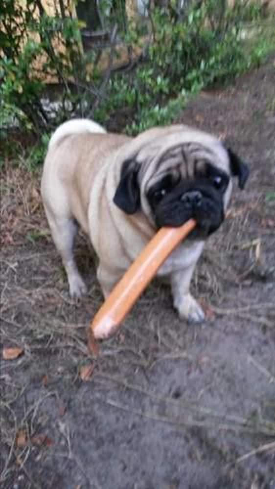 Foto - EASY Lodges Berlin