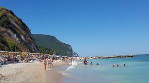 Lettini da mare