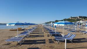 Lettini da mare