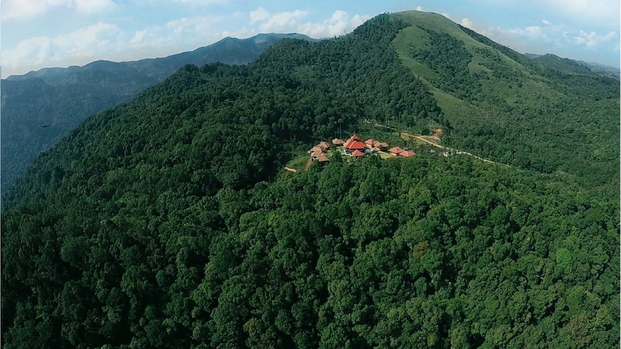 Wild Planet Resort