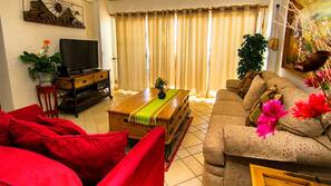 TV, DVD player