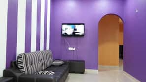 Flat-screen TV