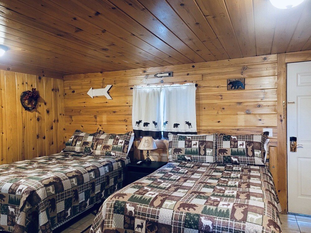 Wolf Den at The Black Bear Inn! Satellite, WiFi, Near River & Hiking