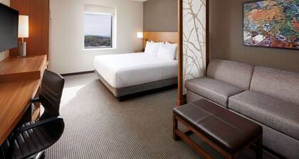 Hyatt Place Knoxville Downtown