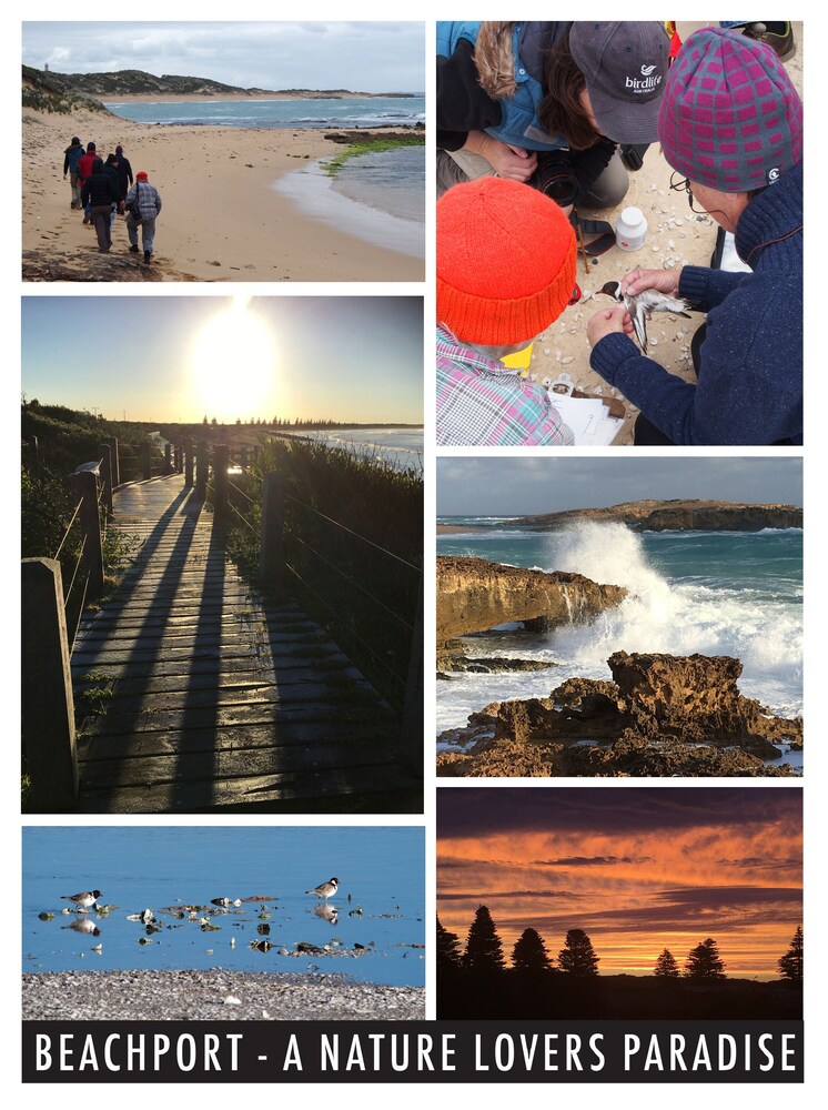 Bonnies of Beachport