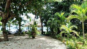 On the beach, scuba diving, snorkelling