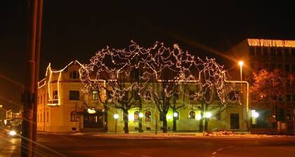Hotel Zvezda