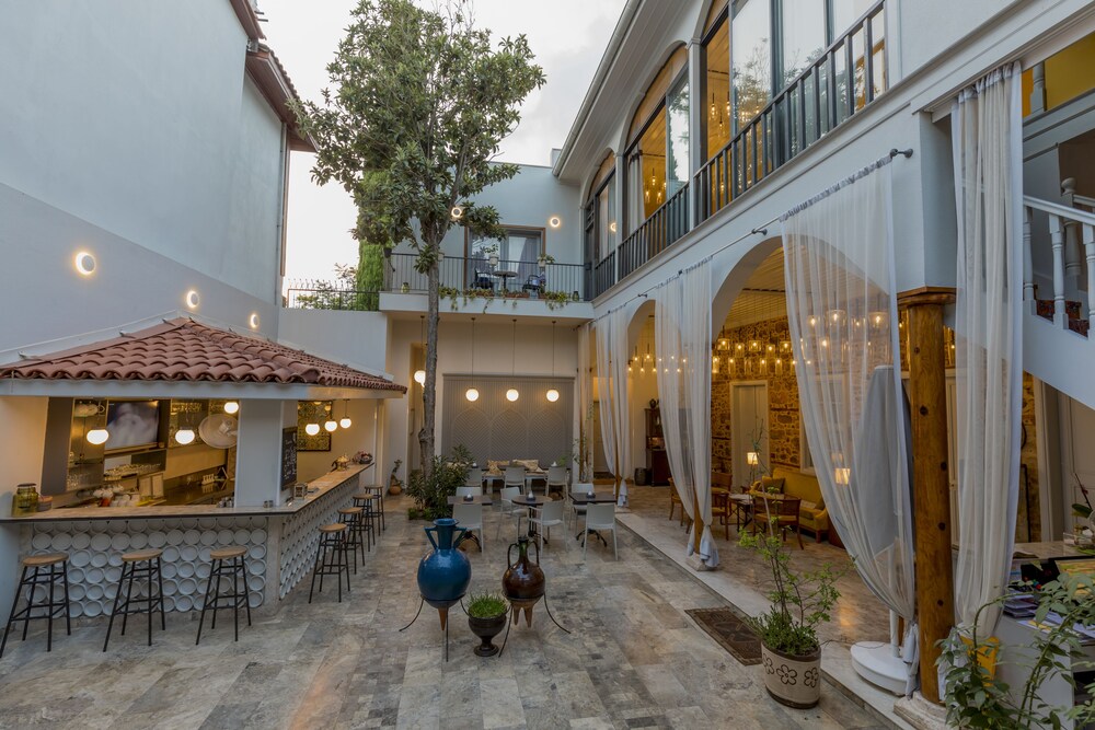 Хурма анталия