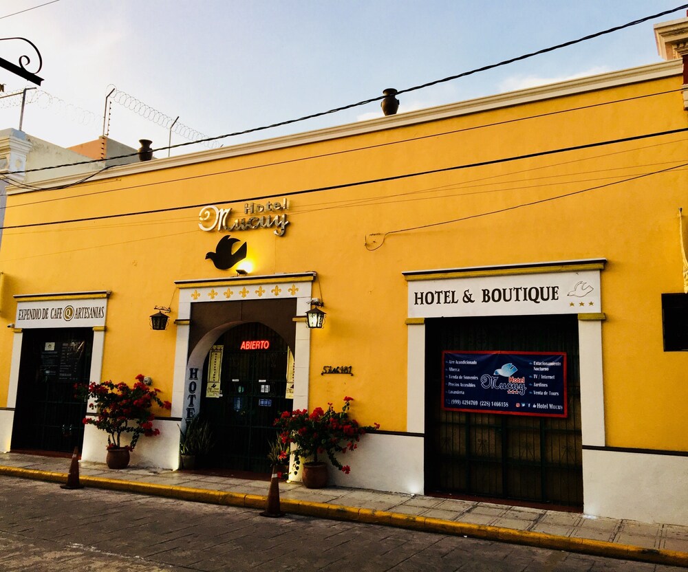 Photo - Hotel Mucuy
