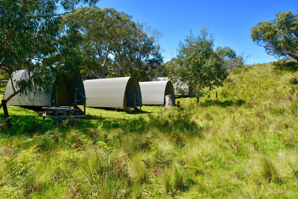Bimbi Park - Camping Under Koala