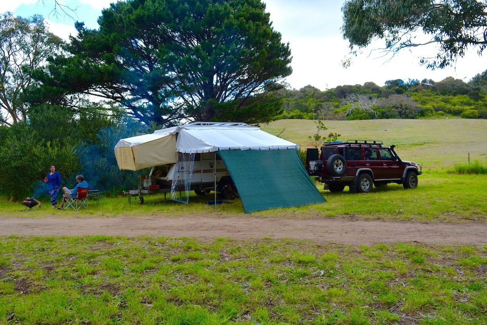 Bimbi Park - Camping Under Koala